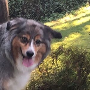 Meet your Posher, Hudson